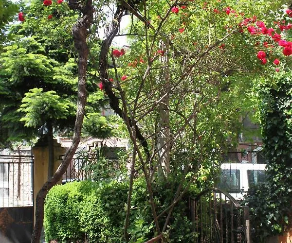 Orange House In The Old Town Plovdiv- Free Parking Гостьовий будинок Пловдив